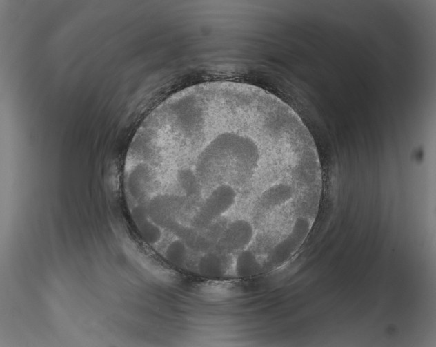 X0000114550086200911301234
