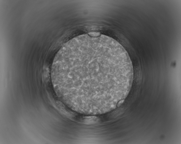 X0000114550087200911301234