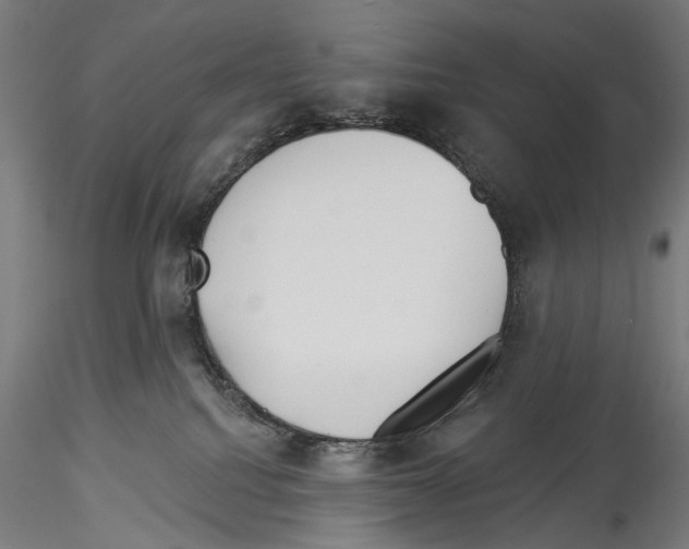X0000114550088200911301234