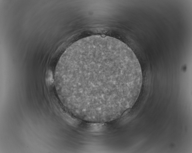 X0000114550089200911301234