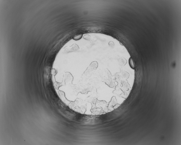 X0000114550093200911301234