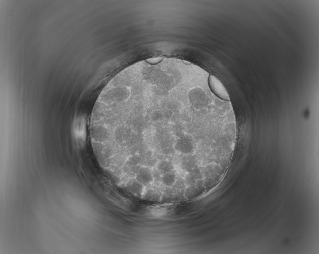 X0000114550094200911301234