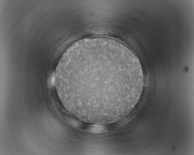 X0000114550095200911301234