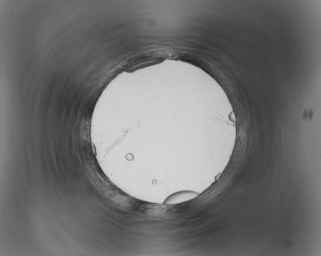 X0000114550096200911301234