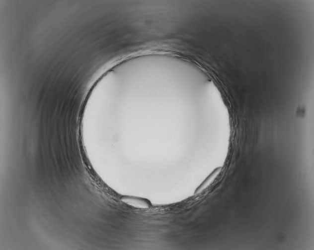 X0000114550100200911301233