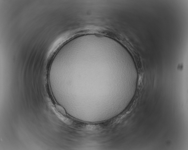 X0000114550101200911301233