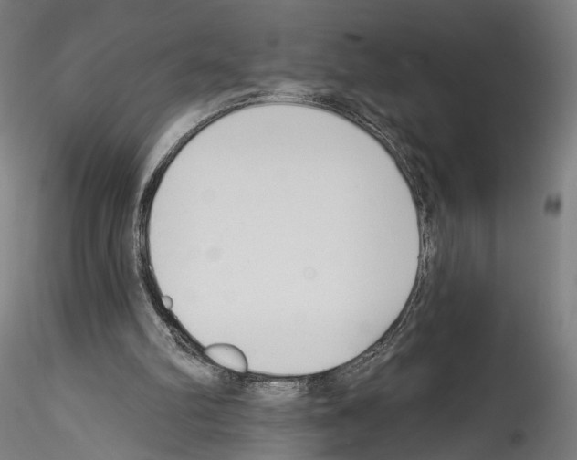 X0000114550102200911301233