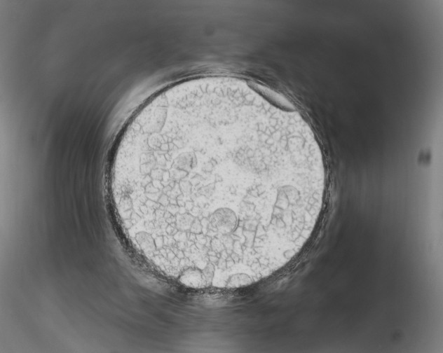 X0000114550103200911301233