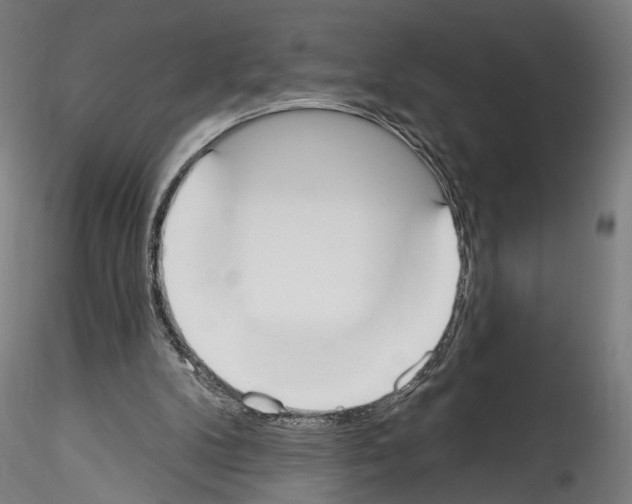 X0000114550104200911301233