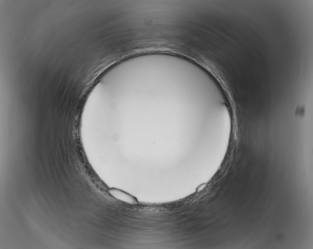 X0000114550105200911301233