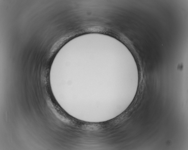 X0000114550106200911301233