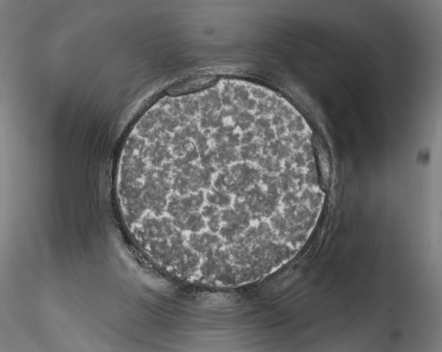X0000114550107200911301233