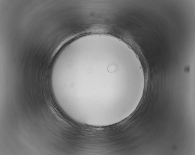 X0000114550108200911301233