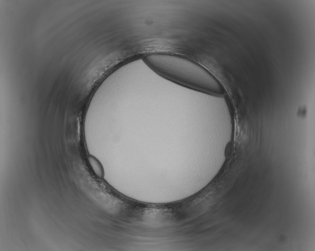 X0000114550109200911301233