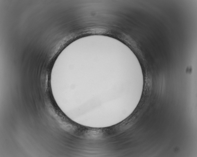 X0000114550110200911301233