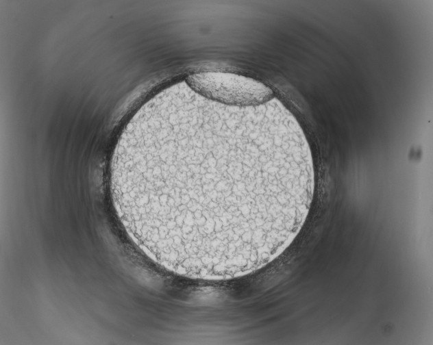 X0000114550111200911301233