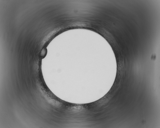 X0000114550112200911301233