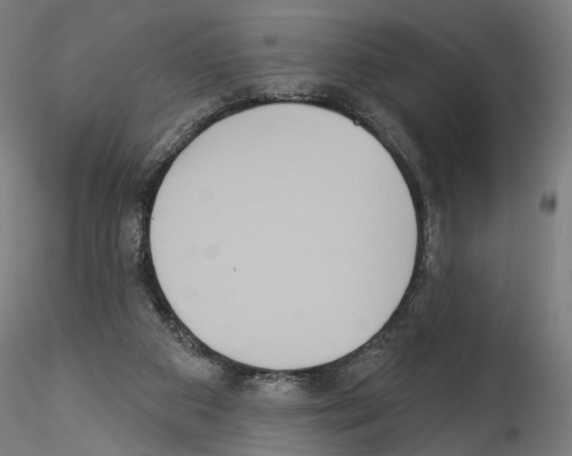 X0000114550113200911301233