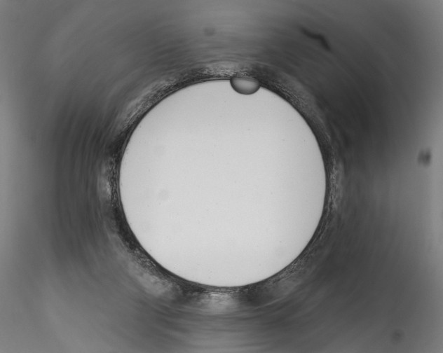 X0000114550114200911301233