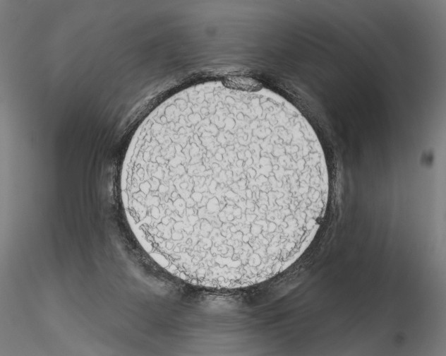 X0000114550115200911301233