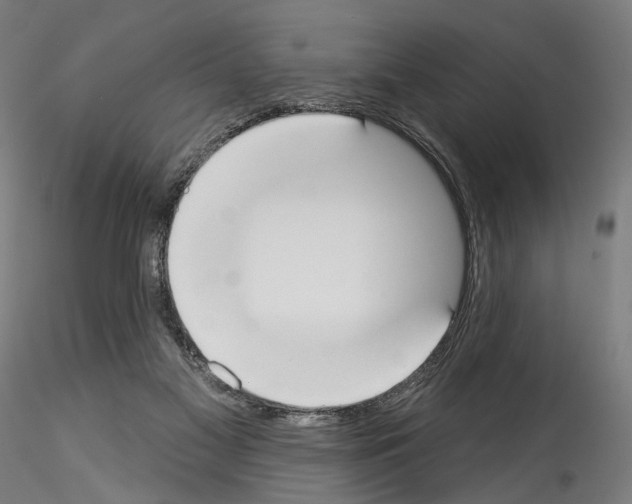 X0000114550117200911301233