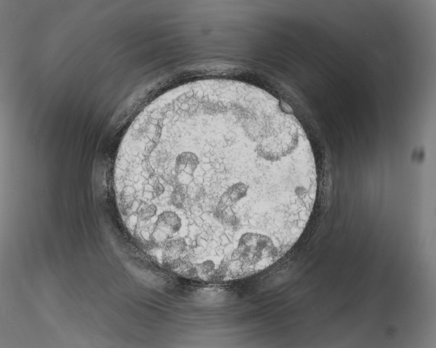 X0000114550119200911301233