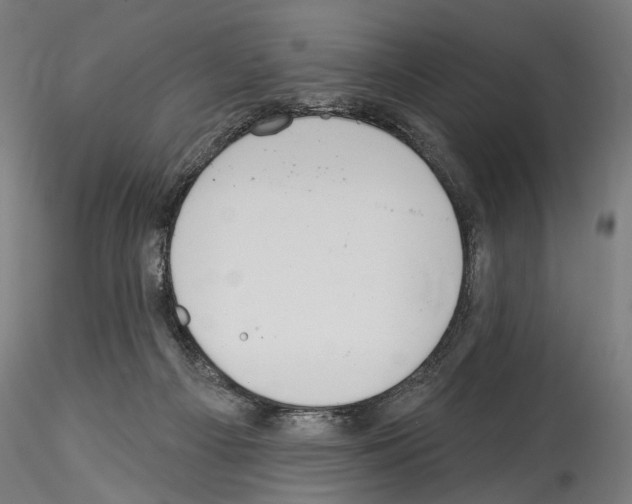 X0000114550121200911301233