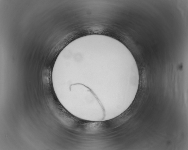 X0000114550122200911301233