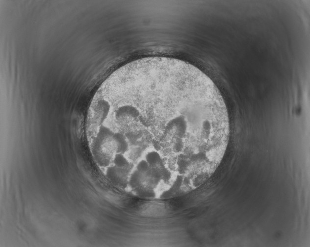 X0000114550123200911301233