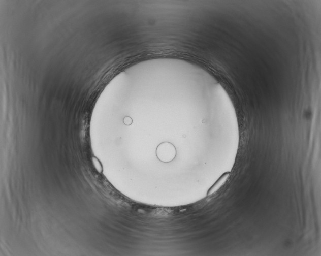 X0000114550124200911301233