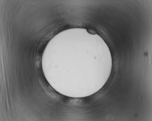 X0000114550125200911301233