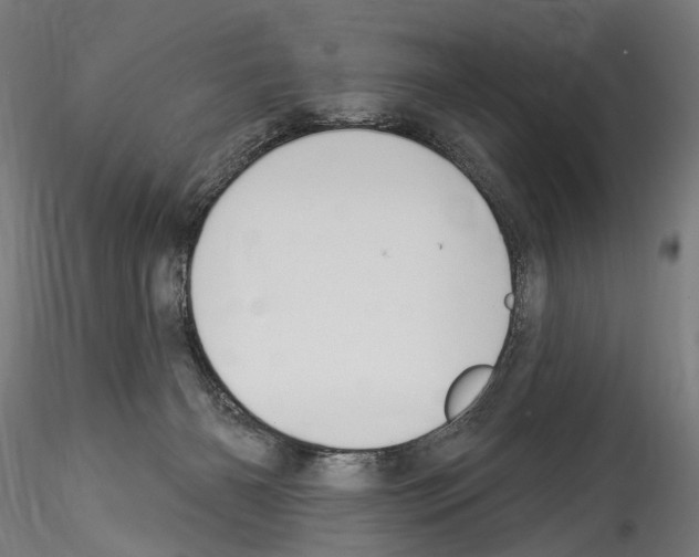 X0000114550126200911301233