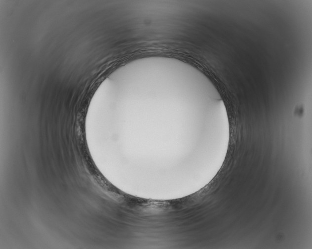 X0000114550128200911301233