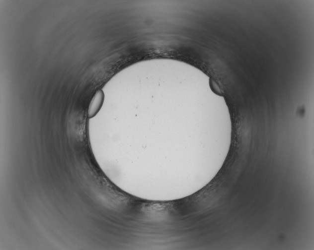 X0000114550129200911301233