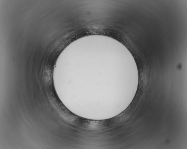 X0000114550130200911301233