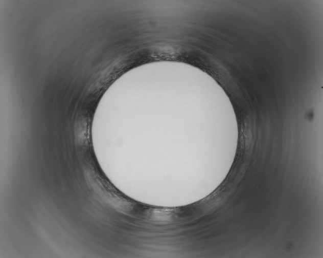 X0000114550134200911301233