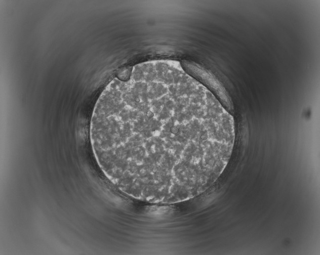 X0000114550135200911301233