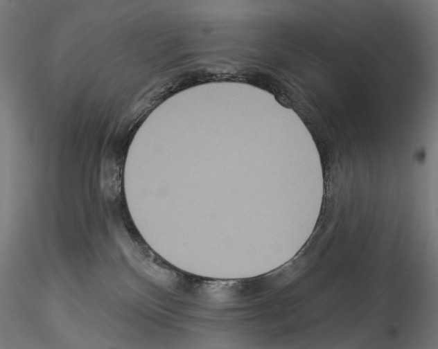 X0000114550136200911301233