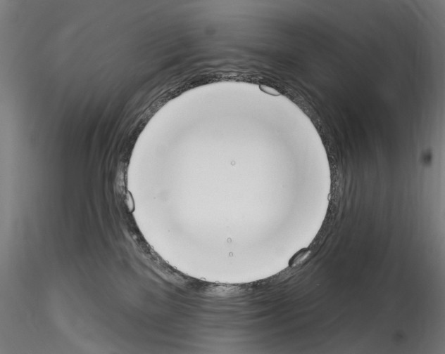 X0000114550137200911301233