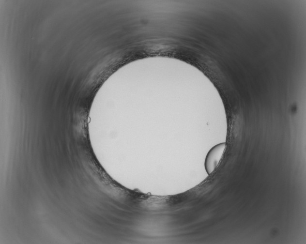 X0000114550138200911301233
