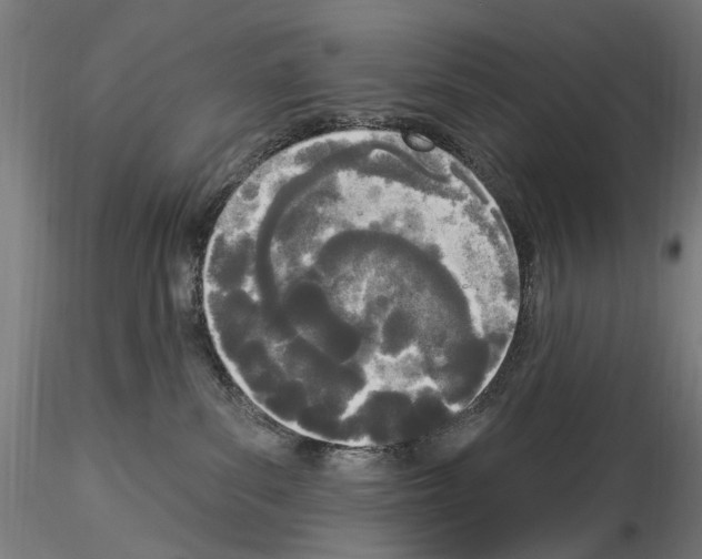 X0000114550139200911301233