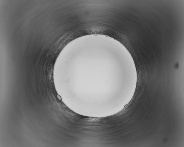 X0000114550140200911301233