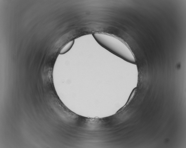 X0000114550141200911301233
