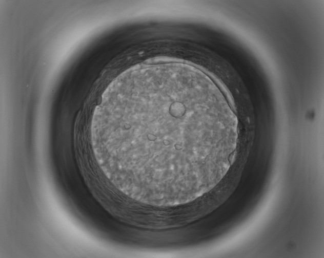 X0000114550143200911301233