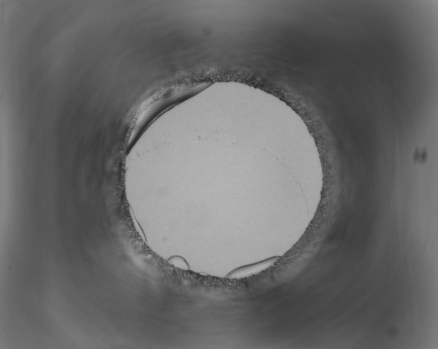X0000114550144200911301233