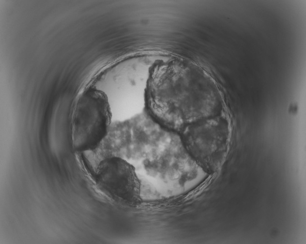 X0000114550145200911301232