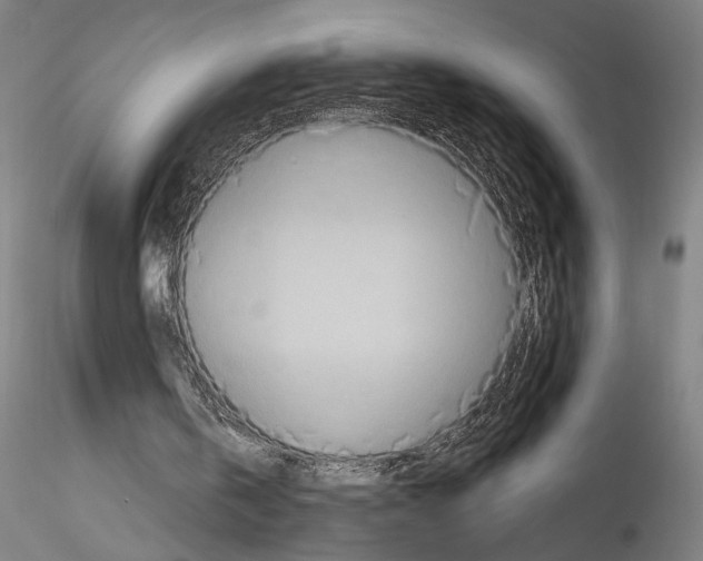 X0000114550146200911301232
