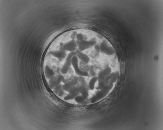 X0000114550147200911301232