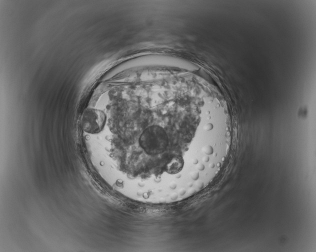 X0000114550149200911301232