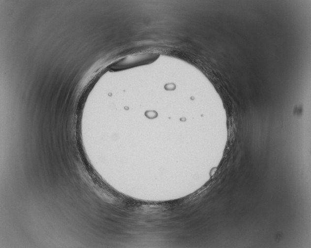 X0000114550150200911301232